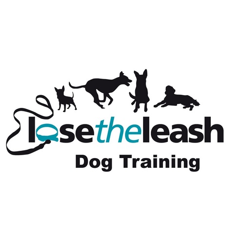 East Valley Phoenix Arizona's Premier Off-Leash Dog Training Company.  We specialize in Happy and Confident Dogs, and Happy and Confident Owners! (480) 818-4899