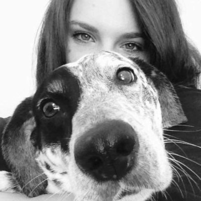 LPulld's profile picture. 