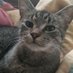Rick Sanders (@ricksan96539809) Twitter profile photo Rick Sanders (@ricksan96539809) Twitter profile photo