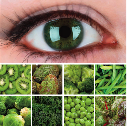 Optometrists, authors and speakers. Passionate about educating the world regarding the power of food in maintaining healthy eyes.