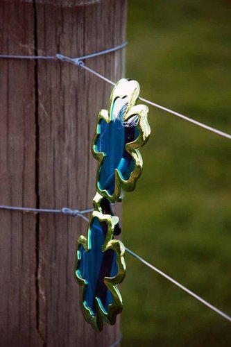 SSWC2011's profile picture. 