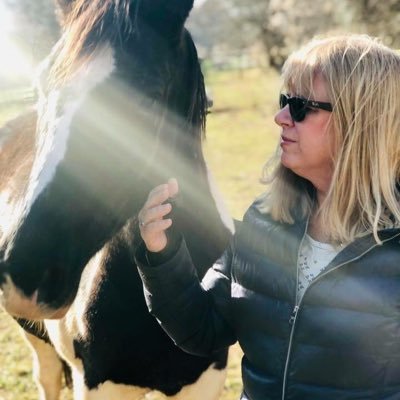 henkel_beth's profile picture. Christian, Conservative, Patriot. Nana to 6. Love children, dogs and horses in no particular order!