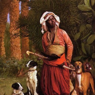 AALFARES84's profile picture. 