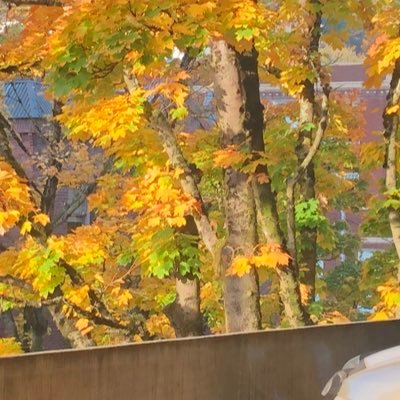 Stormy_Eclipse's profile picture. Hello idk what to put here. 19 They/Them