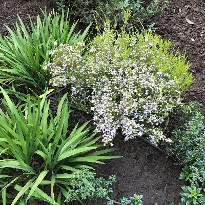 jvaldesr's profile picture. 