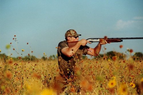 brg48's profile picture. If it flies it dies