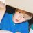 010313bg's profile image