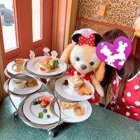 とんかつ🐕️ (@cookie_himekawa) 's Twitter Profile Photo