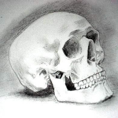 I am the empty skull, which was replaced by a slightly less empty skull, with skin, hair, and most importantly, a body. :(