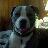 casey_connor's profile image