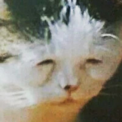 Deadass_yoongi's profile picture. 