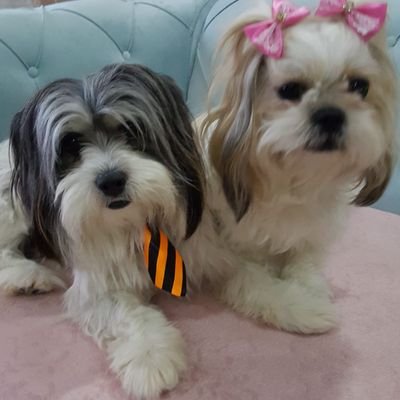 rafitufek's profile picture. "ATATÜRKÇÜ"
"SOSYALİST"
"BEŞİKTAŞLI"
"HAYVAN SEVER"
"DADAŞ"