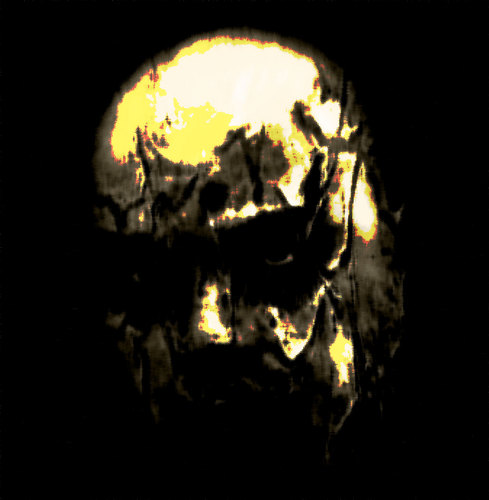 WalkingCorpse1's profile picture. 