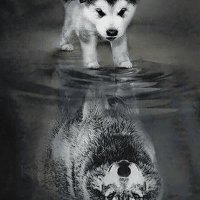 Emir bozkurt (@emirv19) Twitter profile photo