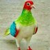 بصرة زبير (@wk5smcgzrbvwvpw) Twitter profile photo بصرة زبير (@wk5smcgzrbvwvpw) Twitter profile photo