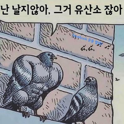 3대 500!
이 꿈인 260의 헬린이