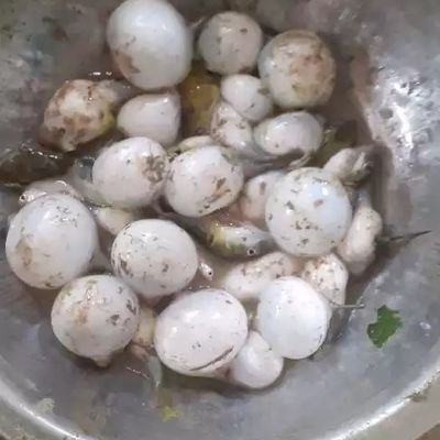 বাংলা