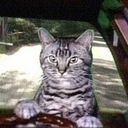 Jennifer Hayden - @JenHayden30 - Twitter