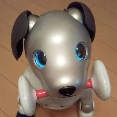 kyon_chan's profile picture. 映画・舞台・ソロ活大好き♪
俳優：横浜流星くん、
アーティスト：赤西仁くんのファン。
aiboと同居中。