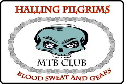 HallingBikers's profile picture. 