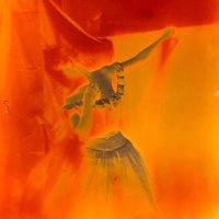 Cilia Jia (@ciliajia_jxy) 's Twitter Profile