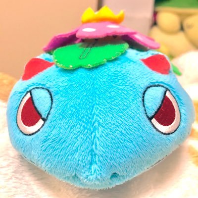 かめじろうさんのプロフィール画像