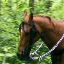 KlNF9DQQB3WYHow's profile picture. 一児の母。モラDV夫と別居中。
離婚調停準備。
モラハラ擁護の方、共同親権推進派・否定コメントつける人、話の通じない人はブロックします！
鬼滅/進撃/児童発達支援/療育/放課後等デイサービス/発達相談/児童福祉