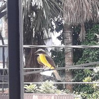 Alicia Soria (@alicias58440275) 's Twitter Profile
