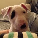 Leeanne Bennett - @luluchunk - Twitter