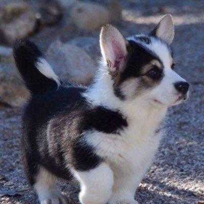 Toi_82's profile picture. 