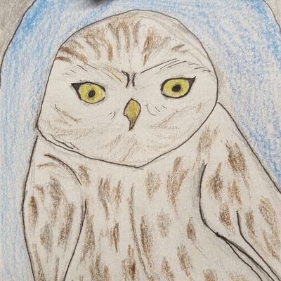 CavecaCm's profile picture. Classa CM Calandreta del Pais Murethin #twolipoc