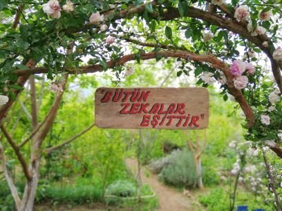 RKomunu's profile picture. Yeni bir toplumsallığı bu günden kurmaya çalışan topluluk.