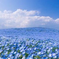 ldb_kr99 (@kr99ldb) 's Twitter Profile