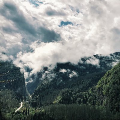 genyorgy's profile picture. Наши убеждения не делают нас лучше.