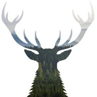 Joytide (@j0y71d3) 's Twitter Profile