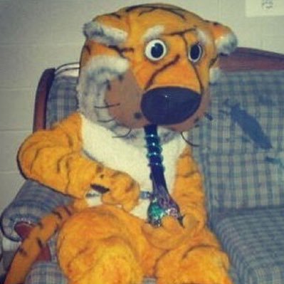 stanchlamb's profile picture. 