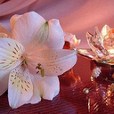 Kami Scott - @kami_scott - Twitter