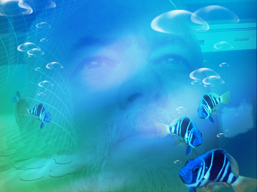 MasterItCA's profile picture. MasterIt.ca is dedicated to helping you with computer skills, hobbies, life.