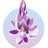 muarms's profile image