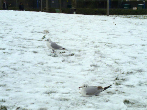 JawadShahid87's profile picture. 