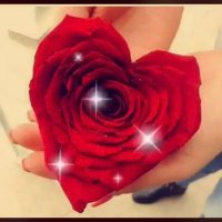 جامعيه دبلوماسيه (@hhhh_22) 's Twitter Profile