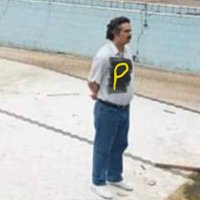 pghpls (@pghpls) 's Twitter Profile