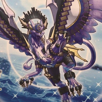 Chinese Yugioh Player-Record:
3 YCS Top 8
1 YCS Top 16
1 YCS Top 32
2 National Top 32
1 National Top 16