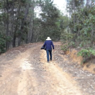 cesarleonvas's profile picture. Salmo 119:105