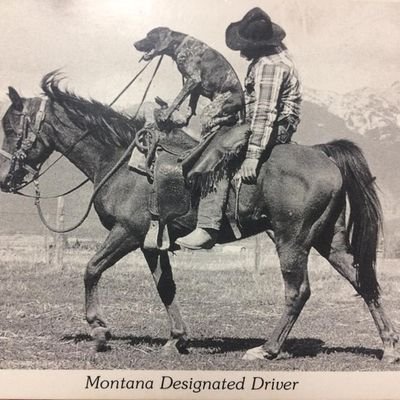 NicandroMAlcant's profile picture. 