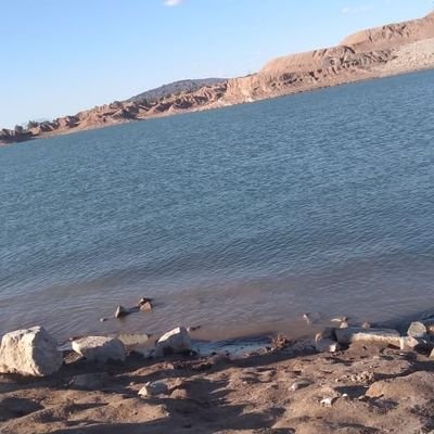 tinchito1987's profile picture. 