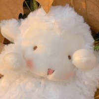 Nick Peng (@calvinp2014) 's Twitter Profile