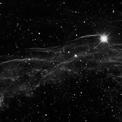 kwaicwlt's profile picture. Até cordeiros virarem Leões.