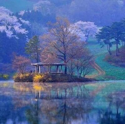 JM25560983's profile picture. اكبر همي عبادة الله سبحانه و تعالى