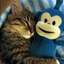 dolani$the$hit - @AwsomeMan123 - Twitter